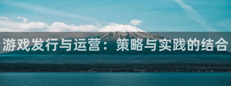 雷火竞技lvnces官网：游戏发行与运营：策略与实践的结合