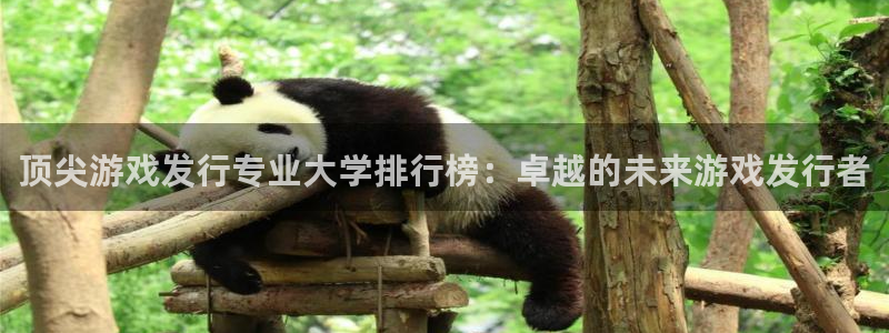 雷火竞技集团是什么企业：顶尖游戏发行专业大学排行榜：卓越的未来游戏发行者