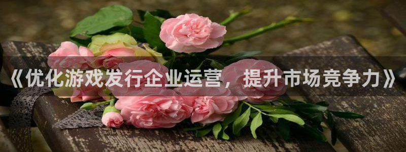 雷火电竞客服服务：《优化游戏发行企业运营，提升市场竞争力》