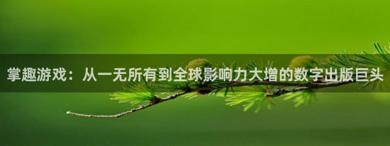 雷火竞技品牌策划团队介绍：掌趣游戏：从一无所有到全球影响力大增的数字出版巨头