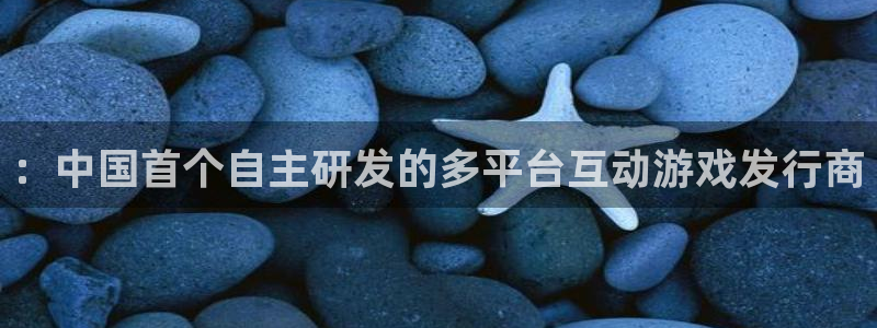 雷火电竞代理注册地址：：中国首个自主研发的多平台互动游戏发行商