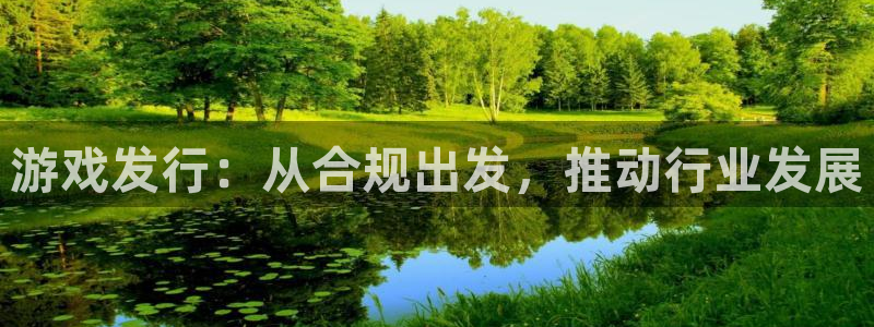 雷火电竞注册登录失败：游戏发行：从合规出发，推动行业发展