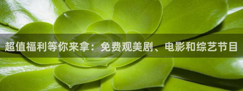 搜球吧手机直播nba直播