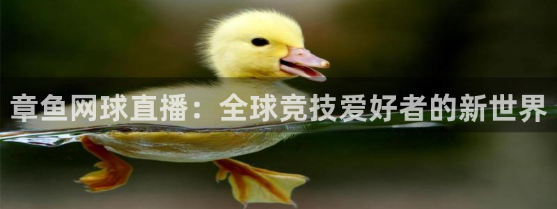 nba直播搜球吧