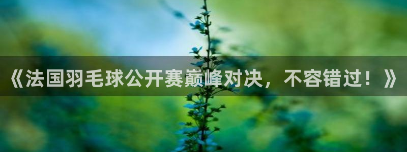 搜球吧零点吧nba直播：《法国羽毛球公开赛巅峰对决，不容错过！》