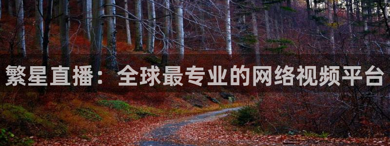 搜球吧在线直播免费观看：繁星直播：全球最专业的网络视频平台