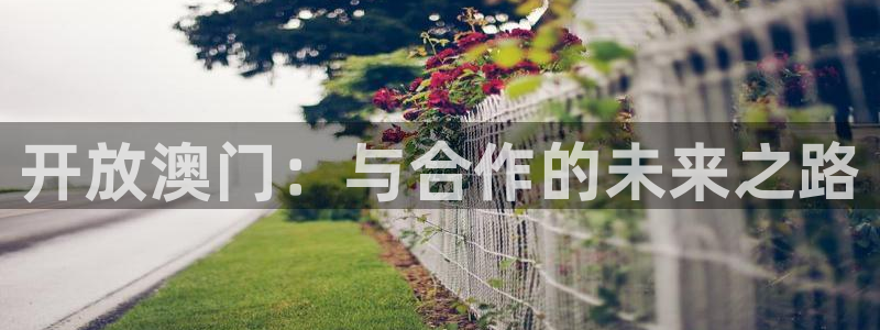 搜球体育直播：开放澳门：与合作的未来之路