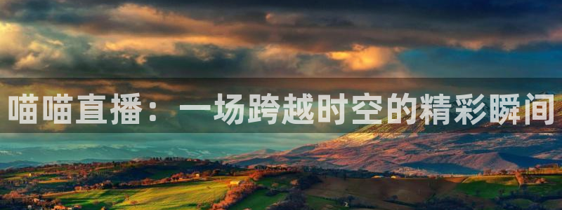 搜球8直播nba直播：喵喵直播：一场跨越时空的精彩瞬间