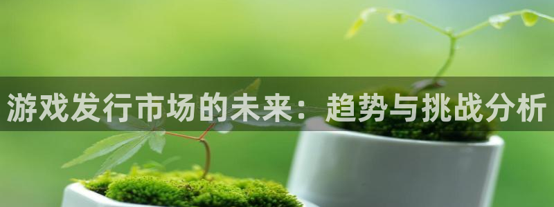 深圳市雷火竞技科技有限招聘公司：游戏发行市场的未来：趋势与挑战分析
