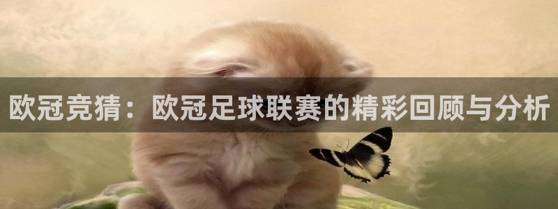 搜球直播体育：欧冠竞猜：欧冠足球联赛的精彩回顾与分析