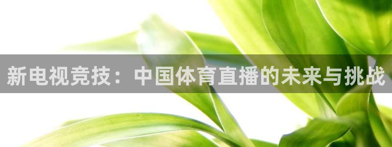搜球体育直播：新电视竞技：中国体育直播的未来与挑战