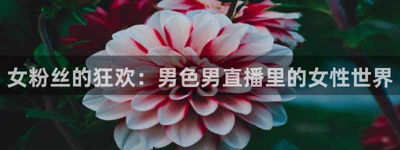 搜球吧在线直播nba：女粉丝的狂欢：男色男直播里的女性世界