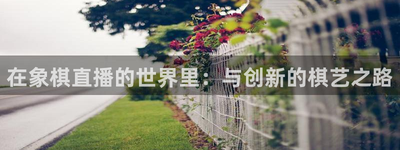 搜球吧在线直播免费观看：在象棋直播的世界里：与创新的棋艺之路