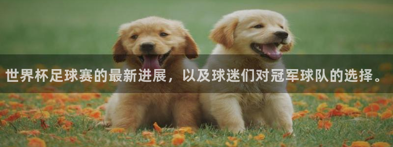 搜球吧nba视频直播：世界杯足球赛的最新进展，以及球迷们对冠军球队的选择。